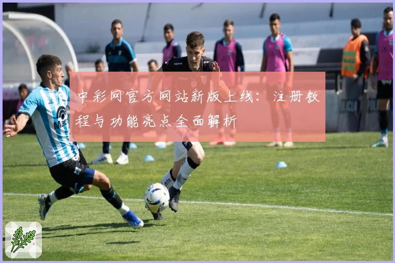 中彩网官方网站新版上线:注册教程与功能亮点全面解析