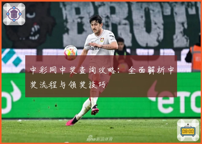 中彩网中奖查询攻略：全面解析中奖流程与领奖技巧