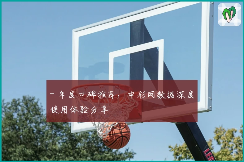 - 年度口碑推荐，中彩网数据深度使用体验分享
