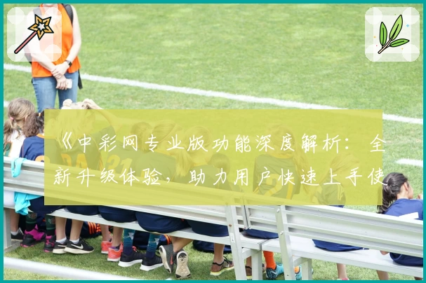 《中彩网专业版功能深度解析：全新升级体验，助力用户快速上手使用指南》