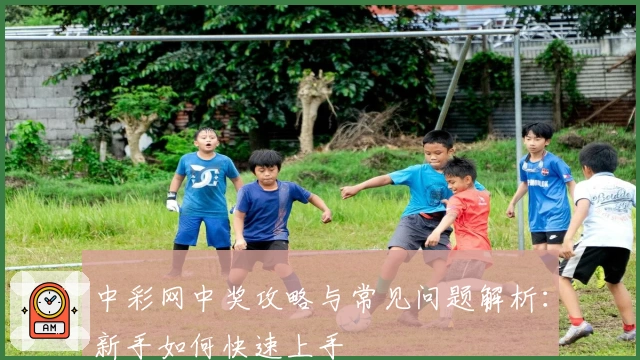 中彩网中奖攻略与常见问题解析：新手如何快速上手