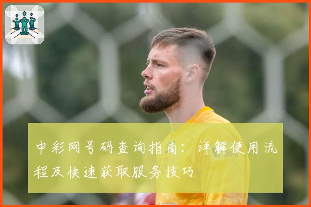 中彩网号码查询指南：详解使用流程及快速获取服务技巧