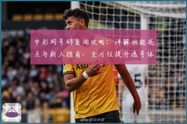 中彩网号码查询攻略：详解功能亮点与新人指南，全方位提升选号体验