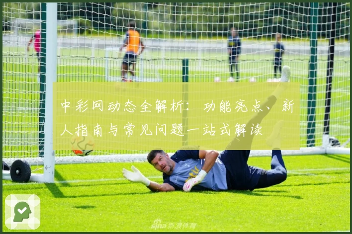 中彩网动态全解析：功能亮点、新人指南与常见问题一站式解读